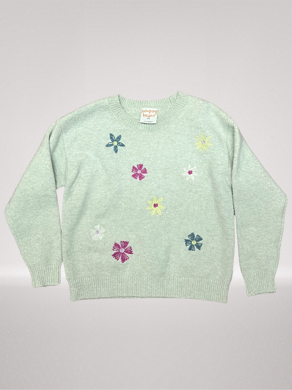 Girls 5T Mint Green Sweatshirt Bundle | Jumping Beans & Garanimals